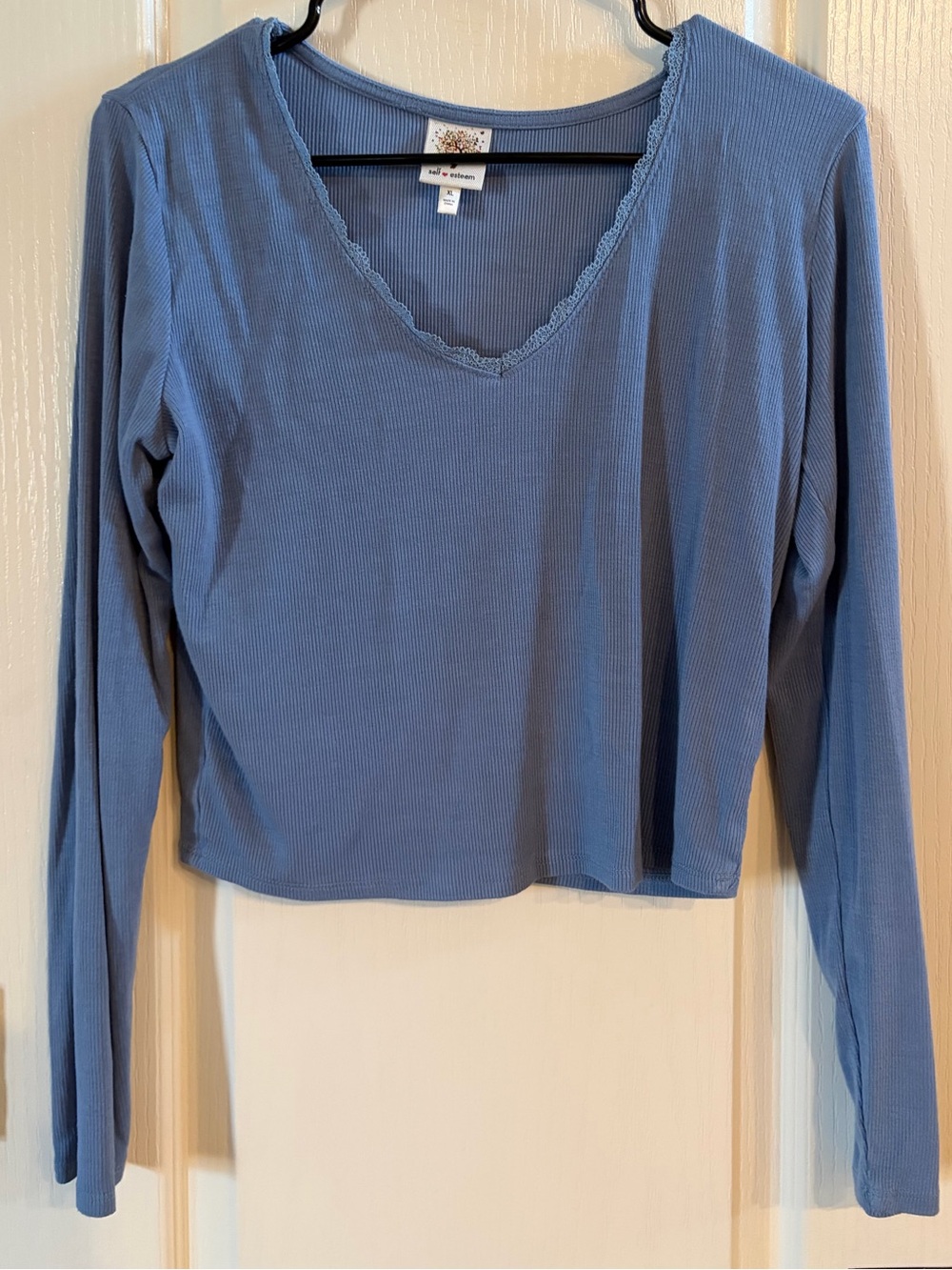 Self Esteem Ribbed V-Neck Long Sleeve Top - Dusty Blue